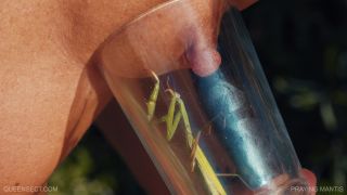 online adult video 26 bdsm group bdsm porn | PRAYING MANTIS | whipping-1