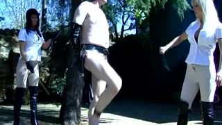 online xxx clip 7 youporn fetish femdom porn | Ponyboy Punishment | pony head harness-2