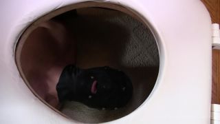 online clip 27 [Femdom 2018] Club Stiletto FemDom – I Know How You Hunger For It. Starring Princess Lily [Toilet, Femdom POV, POV, Toilet Slavery] on femdom porn royal fetish xxx-6