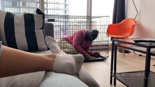 LGM H265_Introducing The Slave To It's Cage -6