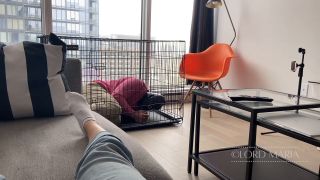 LGM H265_Introducing The Slave To It's Cage -7