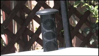   Mcstashhouse  Mcstashhouse  Mcstashhouse – POV 9: Scene Of The Crime — Blue Angel-1