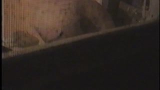 xxx video 18 flyscreen voyeur video - hidden camera - webcam -0