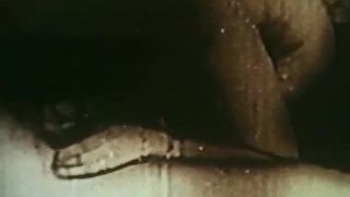 7106 anal party molto particolare-8