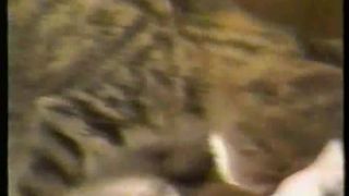 7124 DP Chanel Price - Rear Ended 1985-5