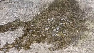 Explore Unique Movie Genres Online Today-6