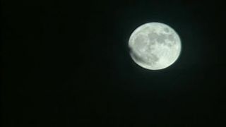 7108 Ancient Secrets of the Kamasutraa-4