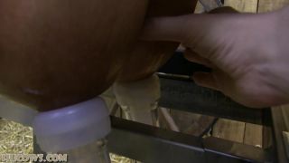 free online video 7 breath hold fetish fetish porn | HuCows – Katie – full udders | hucow-0