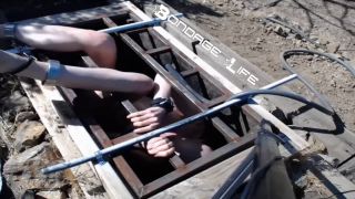 7133 Greyhound Gets The Box-5