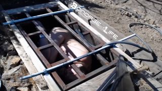 7133 Greyhound Gets The Box-6