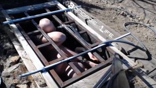 7133 Greyhound Gets The Box-7