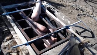 7133 Greyhound Gets The Box-8