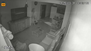 Webcam 1568 Argentina Bajada del Agrio hXkiwTjiq-9