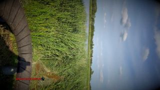 DutchCoupleContent - Outdoor fuck with dutch hot milf - public sex-1