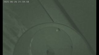 7124 Cuck Listens to his Wife Cheating-fucked Hard in Hotel-s...-7