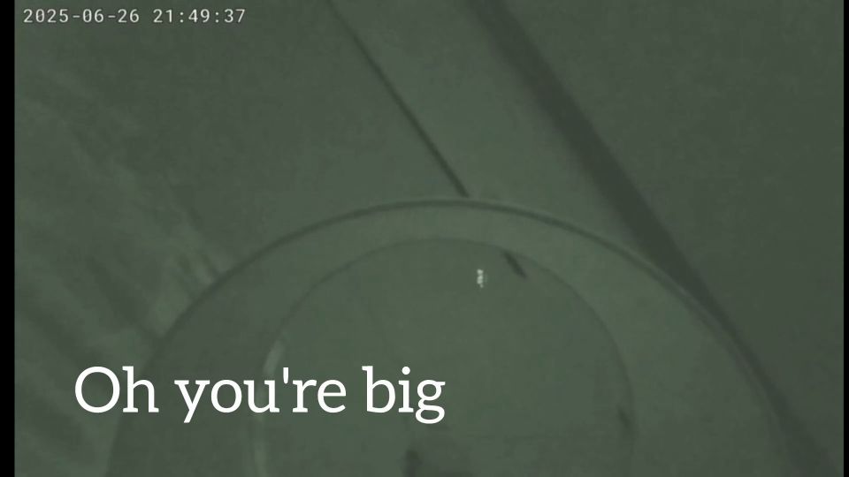 7124 Cuck Listens to his Wife Cheating-fucked Hard in Hotel-s...