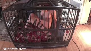 adult xxx clip 16 aria alexander bdsm bdsm porn | Bondage Life – Cage Time With Greyhound (Extended) | fetish-3