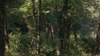 Virginie Ledoyen, Aitana Sanchez-Gijon – The Backwoods (2006) HD 1080p - (Celebrity porn)-0