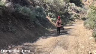 xxx clip 21 andy star bdsm gay BondageLife – Pony Cart Walk, bondagelife on femdom porn-1