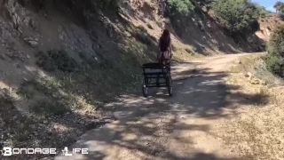 xxx clip 21 andy star bdsm gay BondageLife – Pony Cart Walk, bondagelife on femdom porn-3