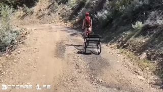 xxx clip 21 andy star bdsm gay BondageLife – Pony Cart Walk, bondagelife on femdom porn-6