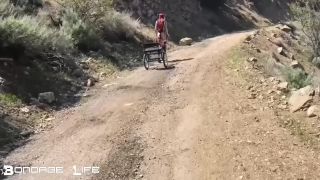 xxx clip 21 andy star bdsm gay BondageLife – Pony Cart Walk, bondagelife on femdom porn-8