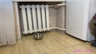 free porn video 48 Goddess Valeria – Chew Pet Food and Wash It Down With My Saliva - lesbian humiliation - femdom porn boot fetish-0