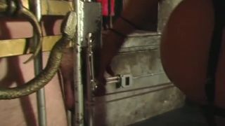 free porn clip 27 femdom squirt Submit To Mistress Delilah, bondage on femdom porn-4