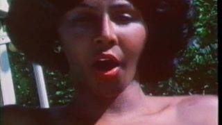 She-Male Encounters 2 (1981) shemale Carnal Candy, Luscious Lynn, Sultry Sylvia, Carla %28Toni%29-1