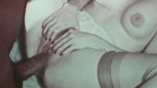 Diamond Collection 113 – Stud Service - [Vintage]-6