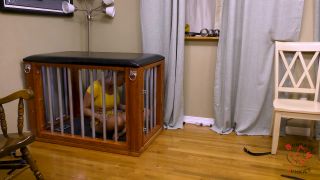 Bella vs. Piper's Role Reversal 2025-01-17 Quick View Por...-9