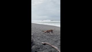 Chelseawaves () - wave check a big update 06-05-2021-1