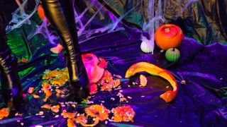 LittleMissTipToes Halloween Pumpkin Tease, Crush And Tram...-4