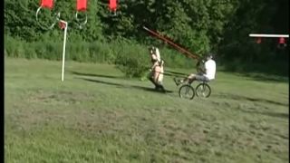 Four Seasons Of Ponyplay Download Porn Videos in Good Qu...-7