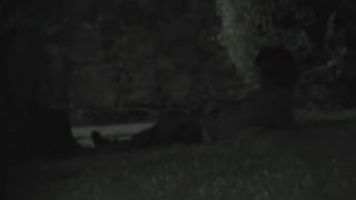 Couple fucking at night in park-4