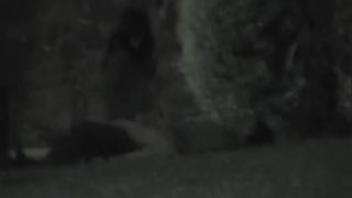 Couple fucking at night in park-8