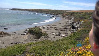 [ATKGirlfriends] Serena Hill Norcal 3 [07.11.24] [1080p]-5