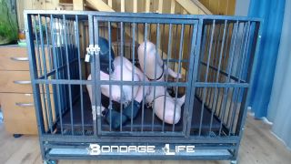 video 38 Bondage Life – Cage Time With Clamps Rachel Greyhound, lesbian bdsm orgasm hard on fetish porn -5