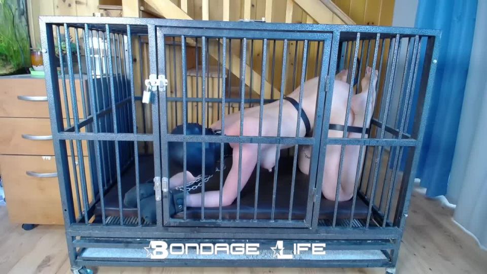 video 38 Bondage Life – Cage Time With Clamps Rachel Greyhound, lesbian bdsm orgasm hard on fetish porn 