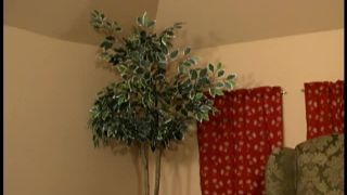 adult video clip 17 aiden starr femdom fetish porn | Kailee s Bratty Attitude Earns Her A Spanking | spanking-8