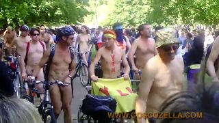 Coccozella-SiteRIP 0467-simon-wnbr2011-2-7