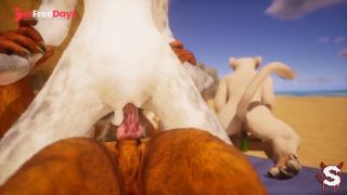 [GetFreeDays.com] Furry trio ends in creampie and squirting in intense Wild Life sex Sex Video July 2023-5