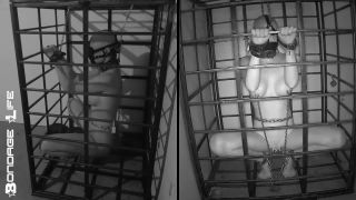 More Storage Time For Greyhound - 08.24.21 Download Porn ...-5