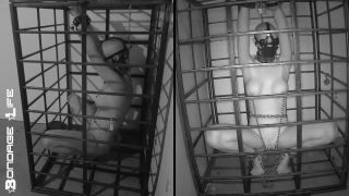 More Storage Time For Greyhound - 08.24.21 Download Porn ...-6