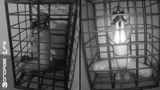 More Storage Time For Greyhound - 08.24.21 Download Porn ...-7