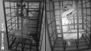 More Storage Time For Greyhound - 08.24.21 Download Porn ...-9