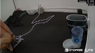 (01.16.2018) Greyhound Lunch-9