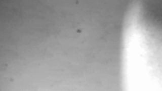 7131 Give Hard Sex to my Latina Sister-in-law and she Moans t...-7