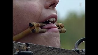 free porn video 3 karlee grey bdsm Wenona - Barn Swallow 1, bdsm on bdsm porn-5