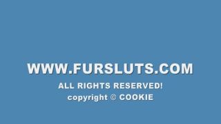 free porn video 49 pakistani hardcore sex hardcore porn | FurSluts – SiteRip – K2s | hardcore-2